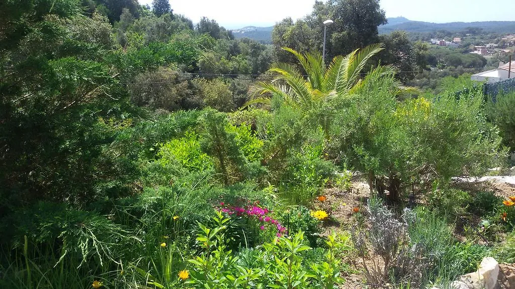 יורט דה מאר Holiday Home Cardona  יורט דה מאר